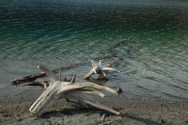Patricia Lake